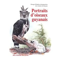Portraits d'oiseaux guyanais