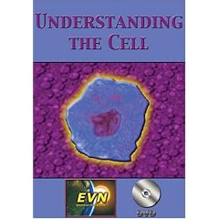 Understanding the Cell DVD