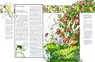 The Great Encyclopedia Of Faeries The Great Encyclopedia Of Faeries