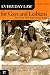 Book Everyday Law for Gays and Lesbians: and Those Who Care about Them (Everyday Law)