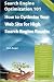 Search Engine Optimization 101 - How to Optimize Your Web Site for High Search Engine Results