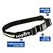 HYFiTT Running Belt Waist Pack Fanny Pack - Sleek Design with 2 Large Expandable Pockets Reflective Material - 100% Water Resistant - Best for iphone 5 5s 6 6s 6 plus and Android Smartphones (Green)