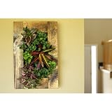 GroVert Living Wall Planter with Wooden Frame Kit