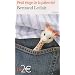 Petit �loge de la paternit�