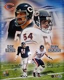 Dick Butkus and Brian Urlacher Chicago Bears - Collage - Dual Autographed 16x20 Photograph