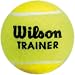Sports : Trainerball Wilson