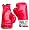 Everlast Family Training Set