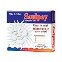 - Sculpey Polymer Clay -White
