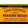 Canal Companion: Pennine Water (Pearson's Canal Companion)