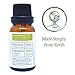 Simply Earth Cajeput Essential Oil, 100% Pure Therapeutic Grade - 15 ml