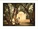 FRAMED - The sacred wood Blidah Algeria, c. 1890s