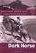 Dark Horse (Mustang Mountain Series)