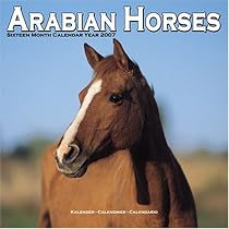 Arabian Horses 2007 Wall Calendar