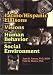 Latino/Hispanic Liaisons and Visions for Human Behavior in the Social Environment