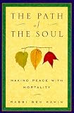 Path of the Soul,
Ben Kamin
