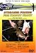 DVD : Streamer Fishing For Trophy Trout with Kelly Galloup