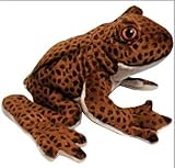 Land & Sea Wild Animals - Spotted Frog