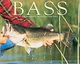 Bass