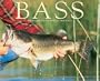 Bass