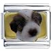 shih_tzu21shih tzu - Shih Tzu Puppy Animal Photo Italian Charms Bracelet