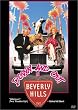 Down and Out in Beverly Hills [Import USA Zone 1]