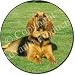 Kitchen & Housewares : BLOODHOUND DOG Laying Fridge Magenet