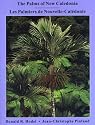 The Palms of New Caledonia / Les Palmiers de Nouvelle-Caledonie