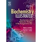 Biochemistry Illustrated: Biochemistry and Molecular Biology in the Post-Genomic Era by Peter N. Campbell, Anthony D. Smith, and Timothy J. Peters