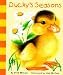 Ducky's Seasons