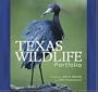 Texas Wildlife Portfolio