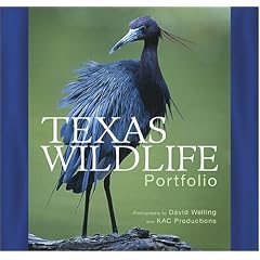 Texas Wildlife Portfolio