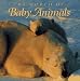 Search : World of Baby Animals
