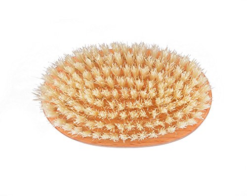 Kent Brushes Extra Large Natural White Bristle Nail Brush Oval Beechwood Handle