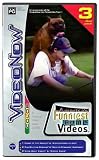 Videonow Color America's Funniest Home Videos 3 Personal Video Disc PVD Pack