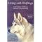 Own a Wolfdog aka Wolf Hybrid