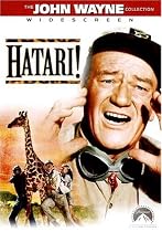 Hatari!