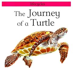 The Journey of a Turtle (Lifecycles)