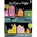 The Cat At Night