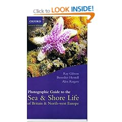 Photographic Guide to the Sea and Shore Life of Britain and North-West Europe (Oxford natural history)