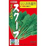 ナント種苗 スクープ(ほうれんそう)