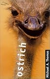 Ostrich
