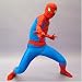 スパイダーマンコスチューム コミックヴァージョン