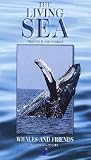 Review Ilc Prime  / The Living Sea 3 - Whales And Friends (1995)