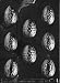 FANCY EGGS Easter Candy Mold