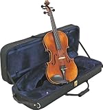 Bellafina Violina 5-string Violin Outfit 16 In