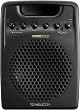 TC Helicon VSM300 VoiceSolo Active Monitor