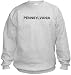 PENNSYLVANIA - State-series - Light Grey Sweatshirt