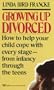 Growing Up Divorced