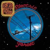 Electric Forest ~ Gekko Projekt