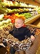MyFancyCover Leopard Velour Brown Baby shopping cart cover with 2 FREE gifts!